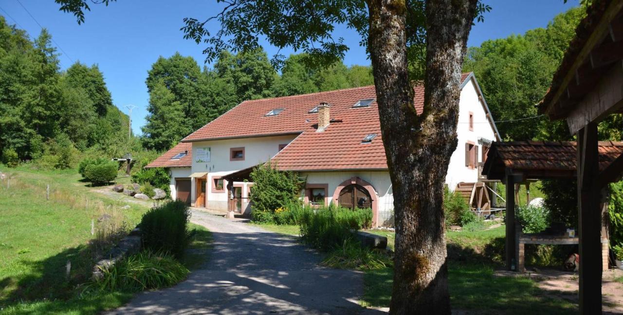 Vacance Conviviales Dans Les Vosges 8 Gites Ban-de-Sapt Exterior foto