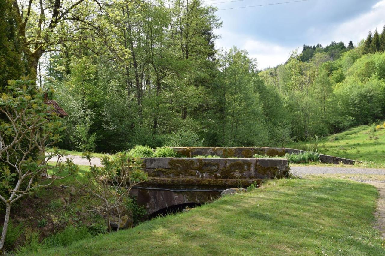 Vacance Conviviales Dans Les Vosges 8 Gites Ban-de-Sapt Exterior foto