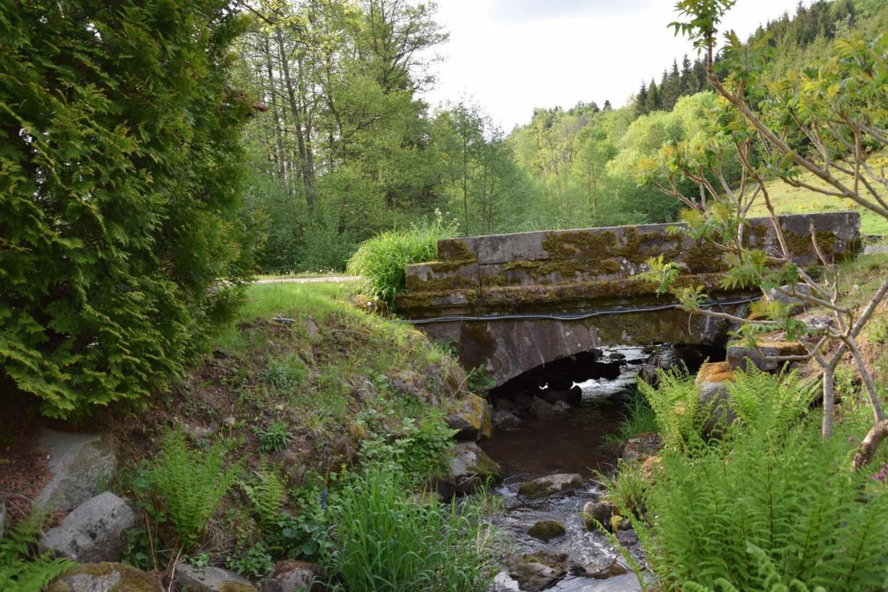 Vacance Conviviales Dans Les Vosges 8 Gites Ban-de-Sapt Exterior foto