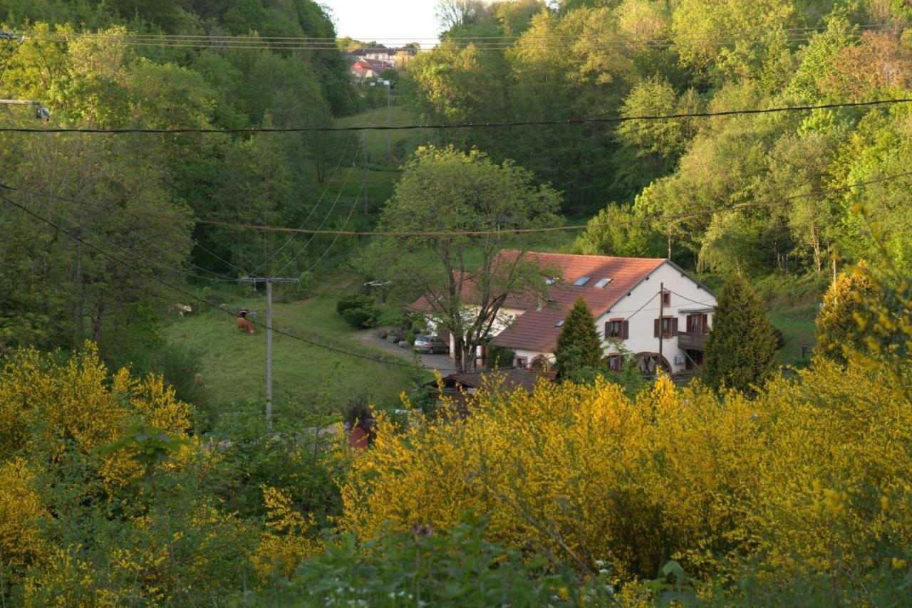 Vacance Conviviales Dans Les Vosges 8 Gites Ban-de-Sapt Exterior foto