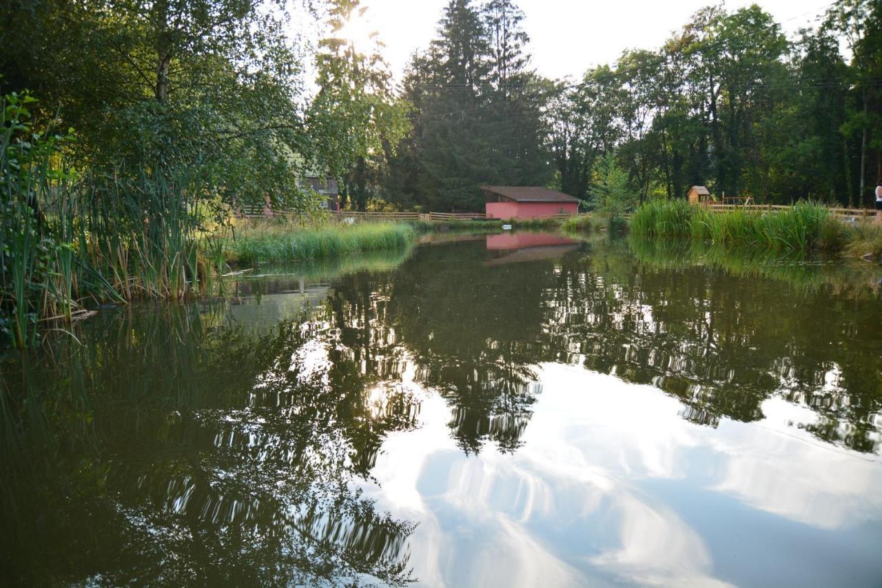 Vacance Conviviales Dans Les Vosges 8 Gites Ban-de-Sapt Exterior foto