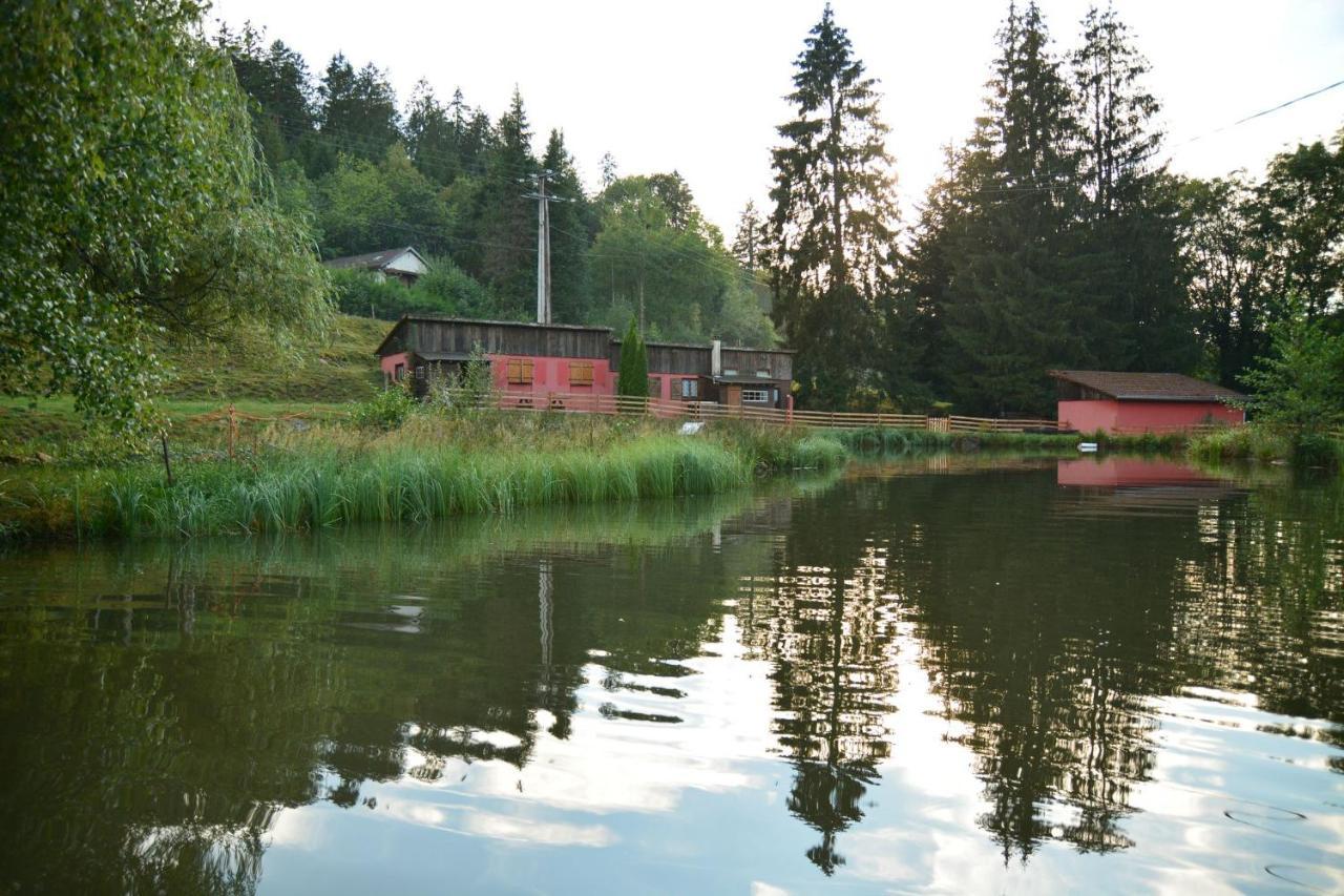 Vacance Conviviales Dans Les Vosges 8 Gites Ban-de-Sapt Exterior foto