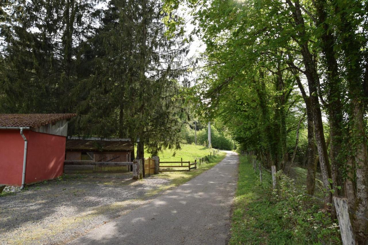 Vacance Conviviales Dans Les Vosges 8 Gites Ban-de-Sapt Exterior foto