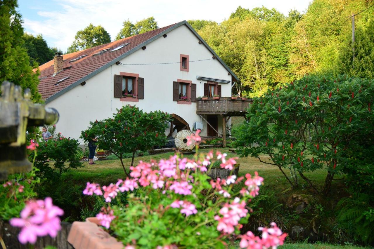 Vacance Conviviales Dans Les Vosges 8 Gites Ban-de-Sapt Exterior foto